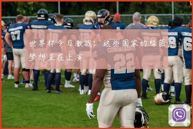 世界杯今日激战:这些国家的绿茵梦想正在上演