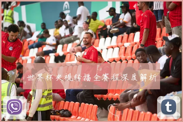 世界杯央视转播全赛程深度解析