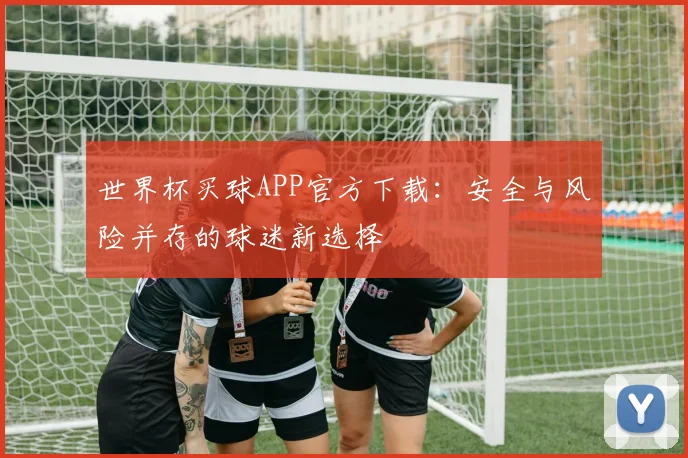 世界杯买球APP官方下载:安全与风险并存的球迷新选择