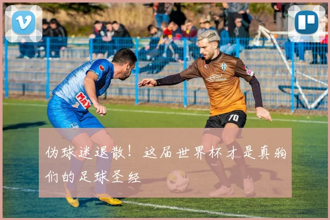 伪球迷退散!这届世界杯才是真狗们的足球圣经