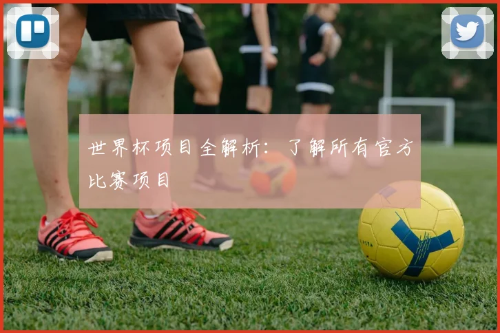 世界杯项目全解析:了解所有官方比赛项目