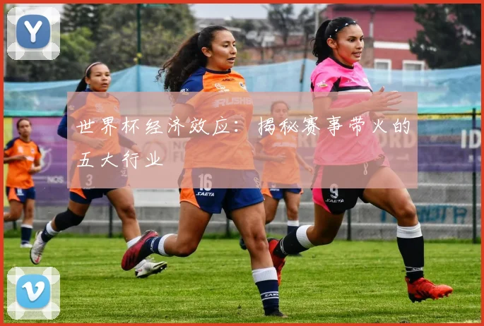 世界杯经济效应：揭秘赛事带火的五大行业