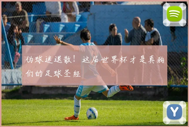 伪球迷退散!这届世界杯才是真狗们的足球圣经