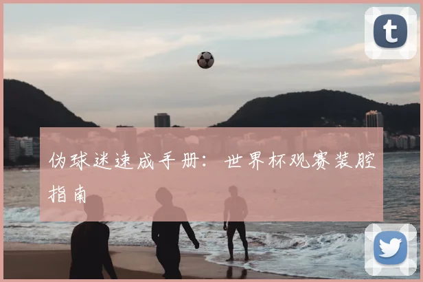 伪球迷速成手册:世界杯观赛装腔指南