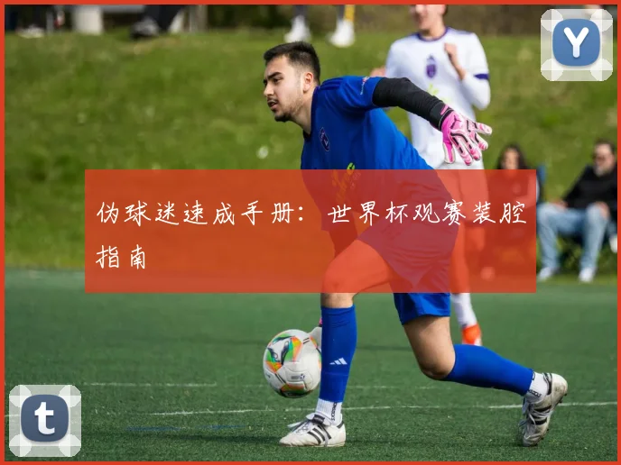 伪球迷速成手册:世界杯观赛装腔指南