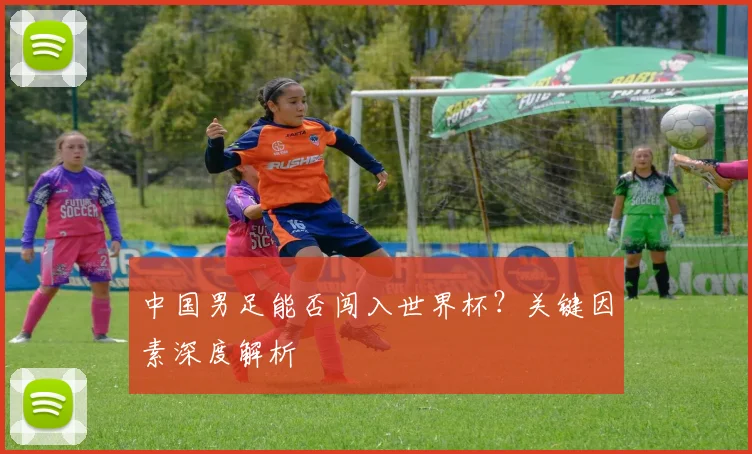中国男足能否闯入世界杯?关键因素深度解析